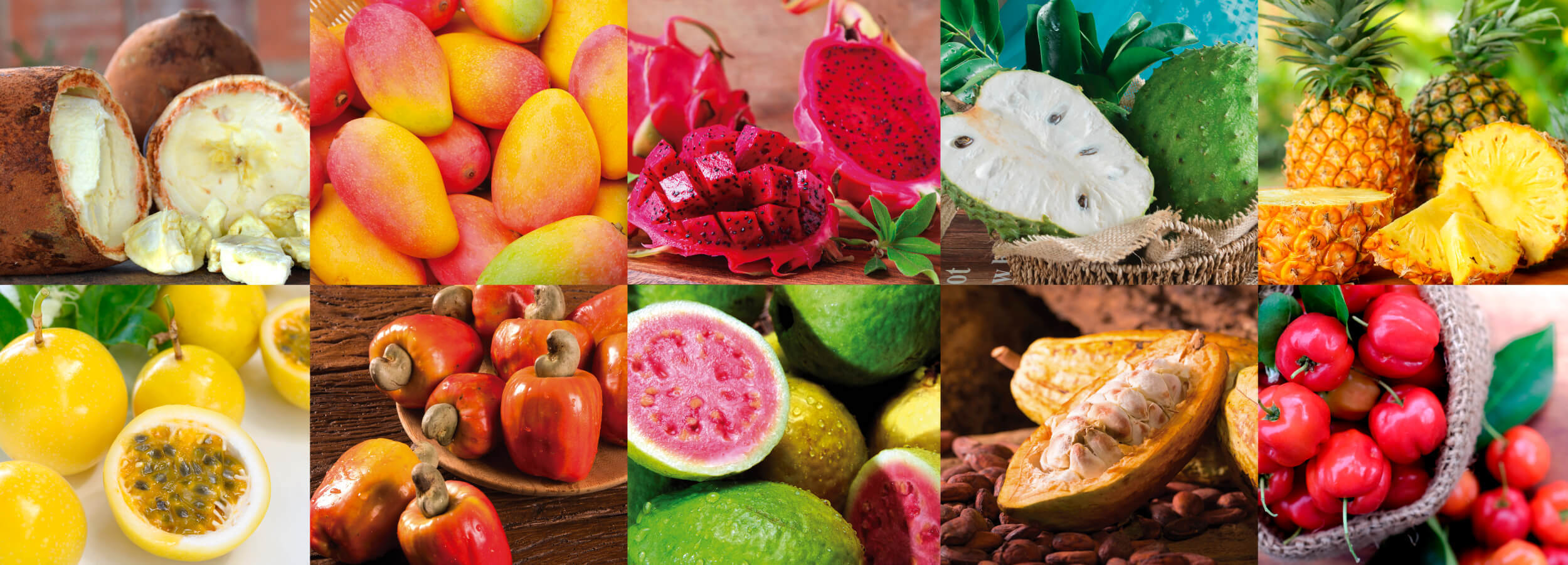 貴重【現地調達版】ブラジルフルーツの本「Frutas Brasileiras」 貴重【現地調達版】ブラジルフルーツの本「Frutas Brasileiras」