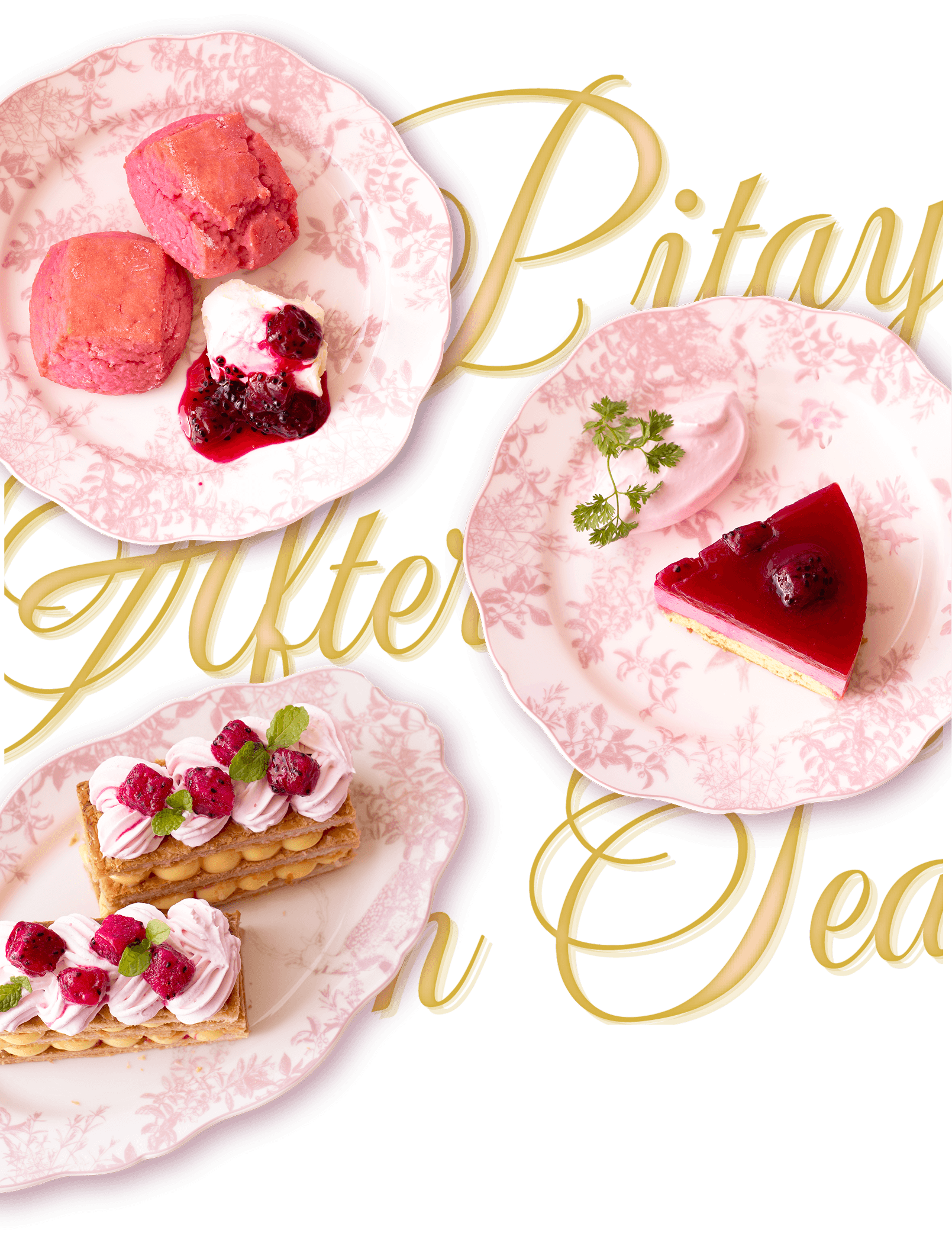Pitaya Presentation Image