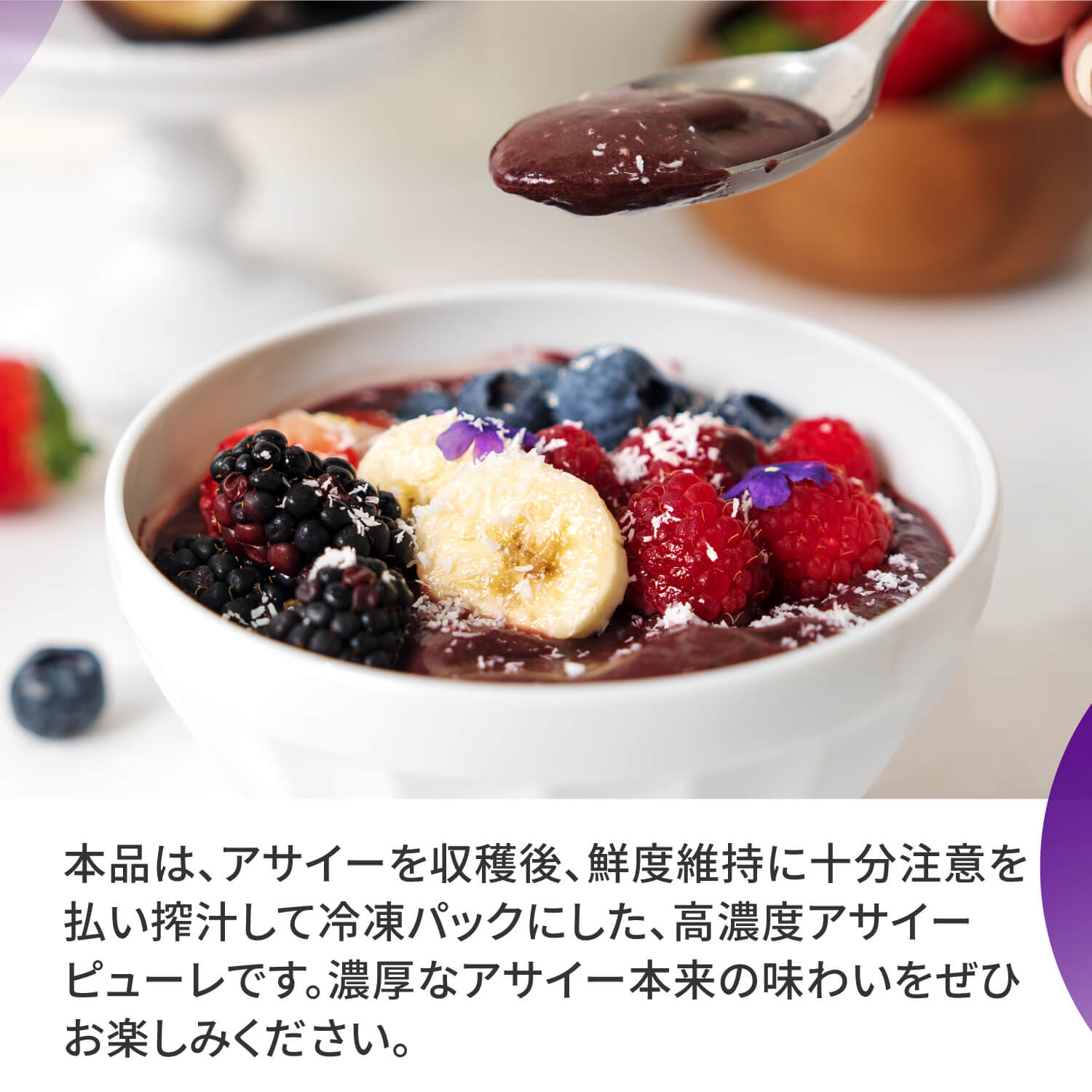 puree_plain_info-03.jpg