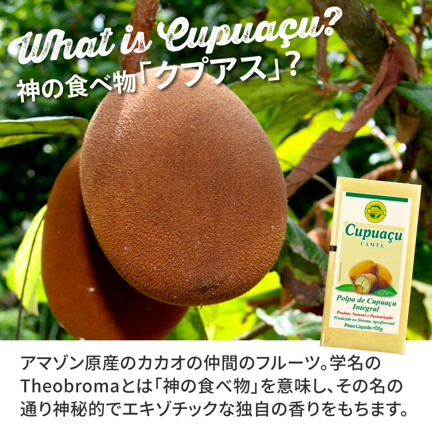 冷凍ピューレ クプアス400g ｜ フルッタフルッタ公式オンラインストア